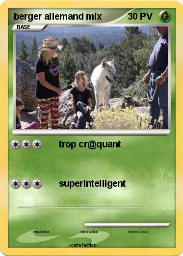 Pokemon berger allemand mix