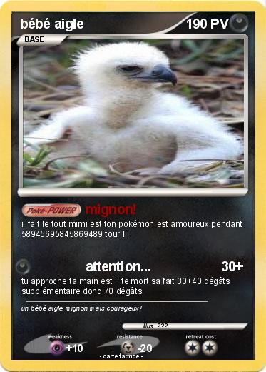 Pokemon bébé aigle