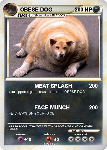 Pokemon OBESE DOG