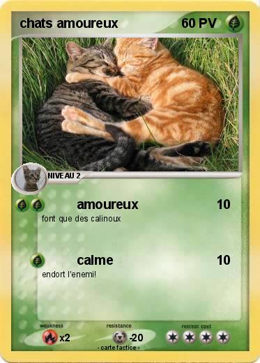 Pokemon chats amoureux
