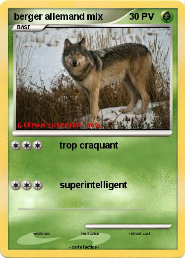 Pokemon berger allemand mix