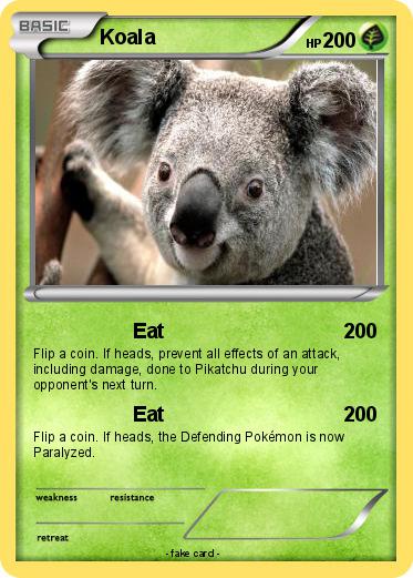 Pokemon Koala