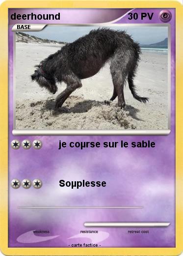 Pokemon deerhound