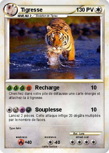 Pokemon Tigresse