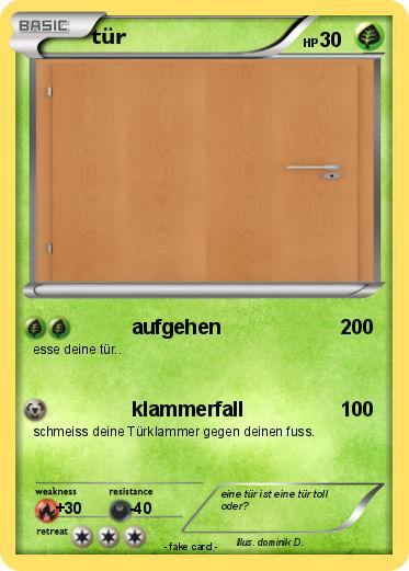 Pokemon tür