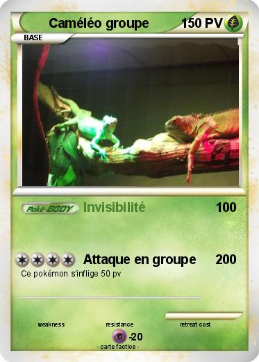 Pokemon Caméléo groupe