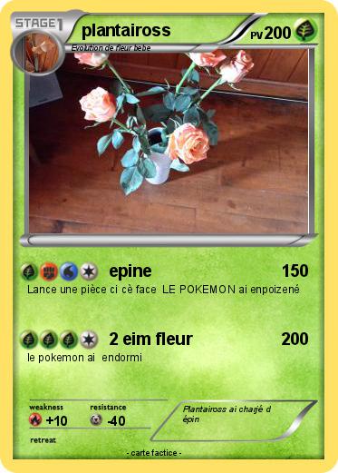 Pokemon plantaiross