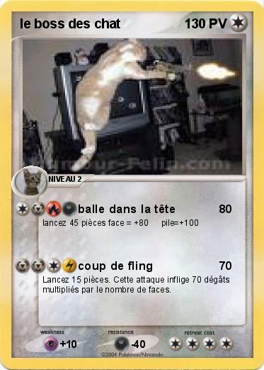 Pokemon le boss des chat 