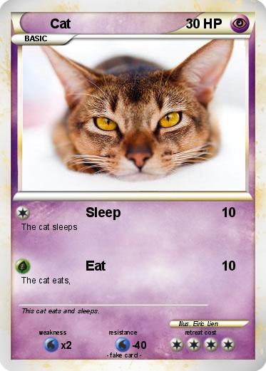 Pokemon Cat