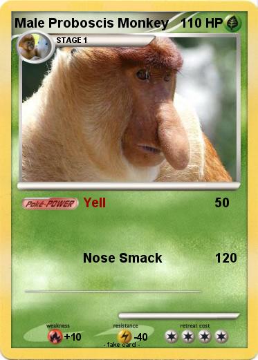 Pokemon Male Proboscis Monkey