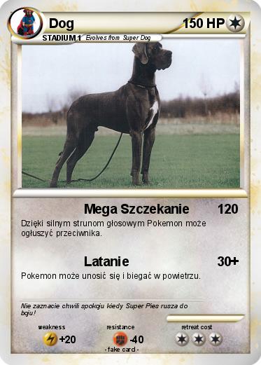Pokemon Dog