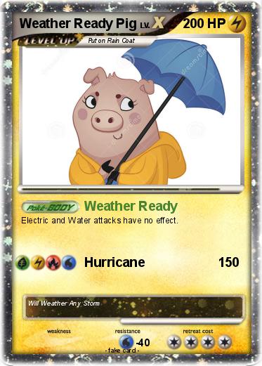 Pokemon Weather Ready Pig