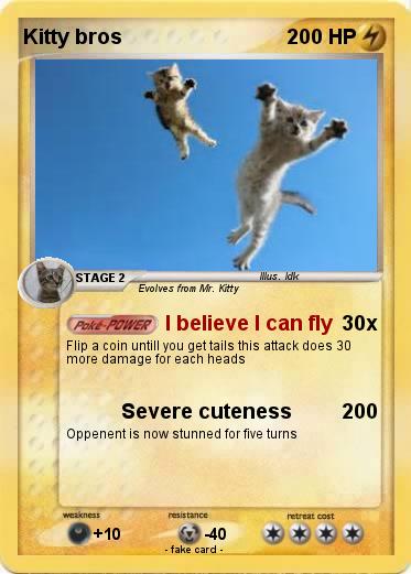 Pokemon Kitty bros