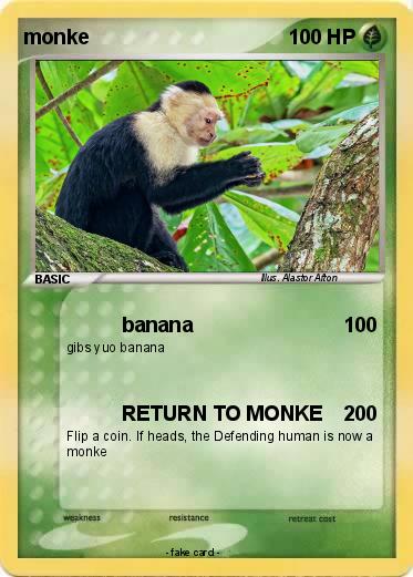 Pokemon monke