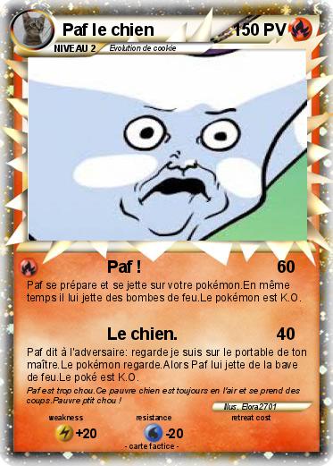 Pokemon Paf le chien