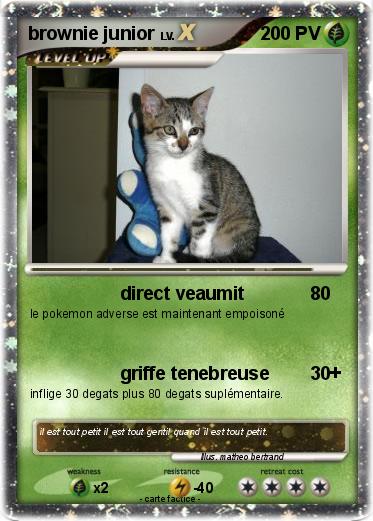 Pokemon brownie junior