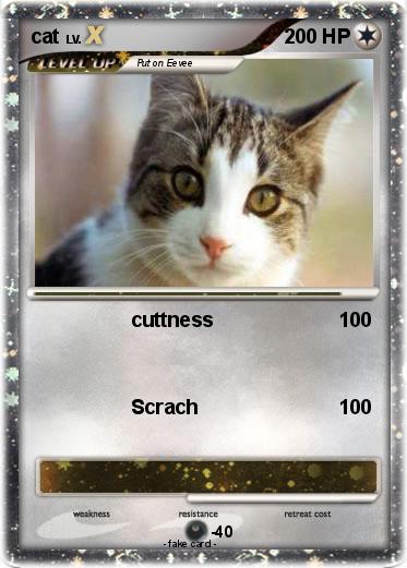 Pokemon cat