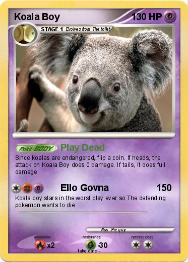 Pokemon Koala Boy