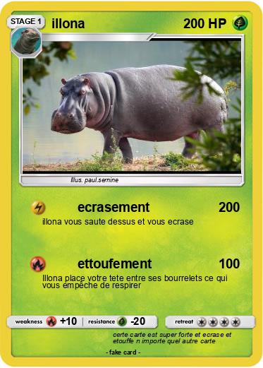 Pokemon illona