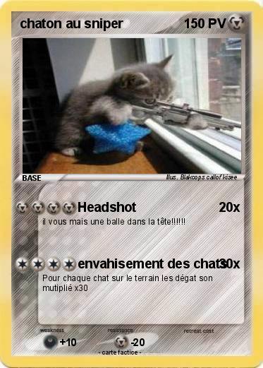 Pokemon chaton au sniper