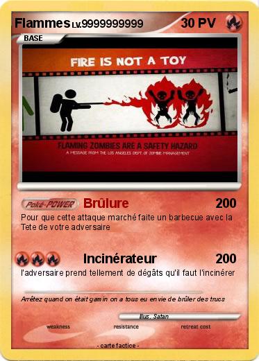 Pokemon Flammes
