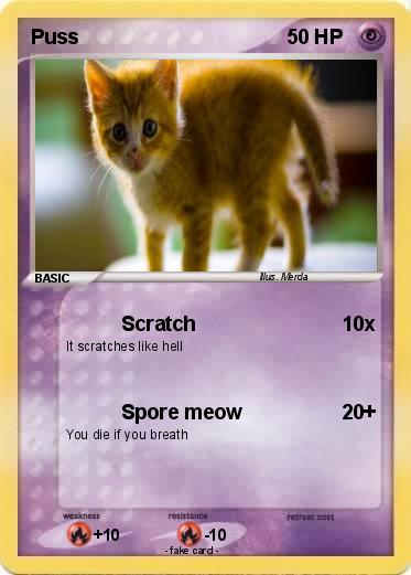 Pokemon Puss