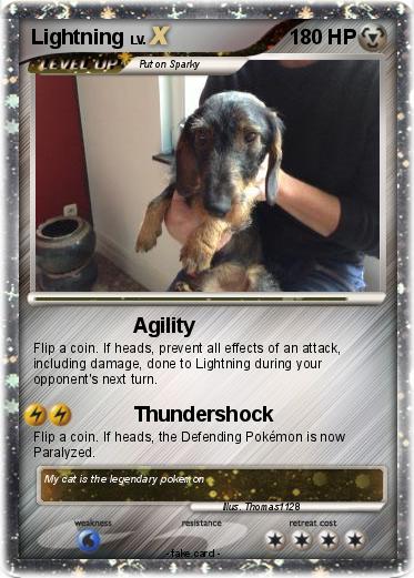 Pokemon Lightning