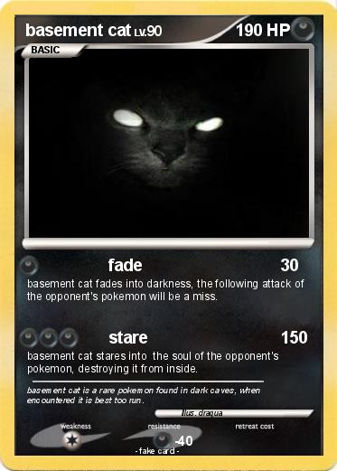 Pokemon basement cat