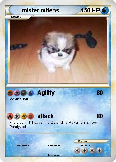 Pokemon mister mitens
