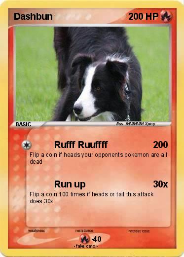 Pokemon Dashbun