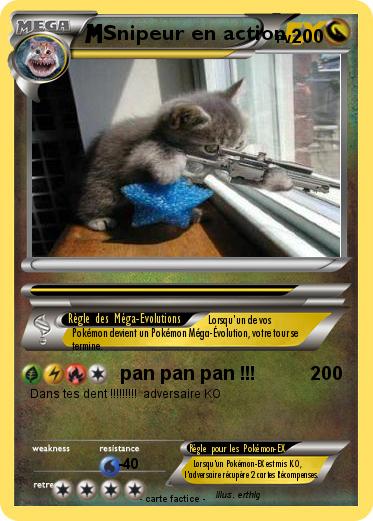 Pokemon Snipeur en action
