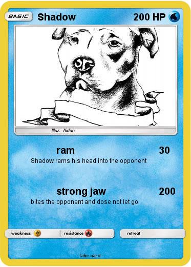Pokemon Shadow