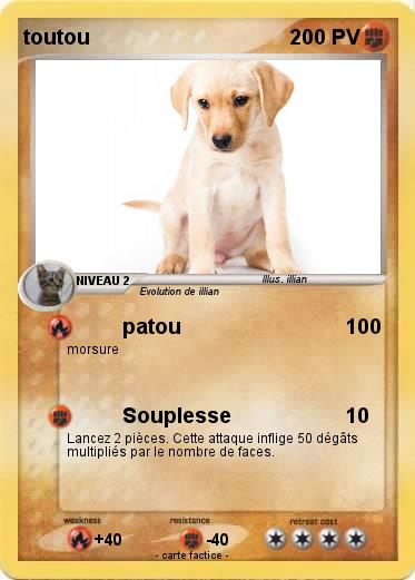 Pokemon toutou