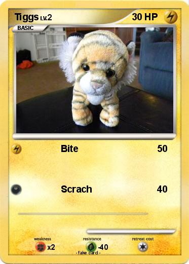 Pokemon Tiggs