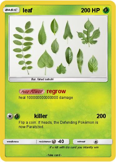 Pokemon leaf