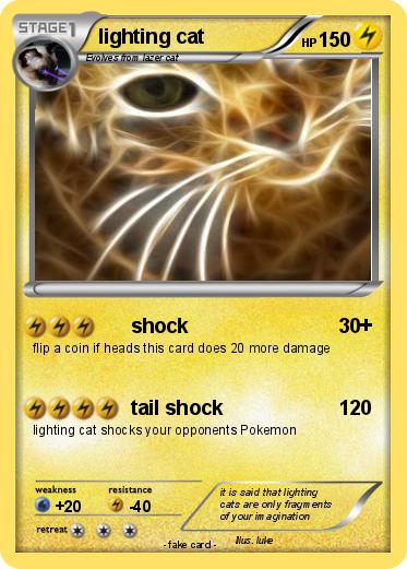 Pokemon lighting cat