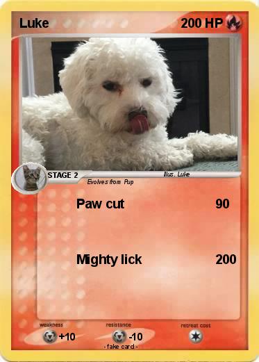 Pokemon Luke