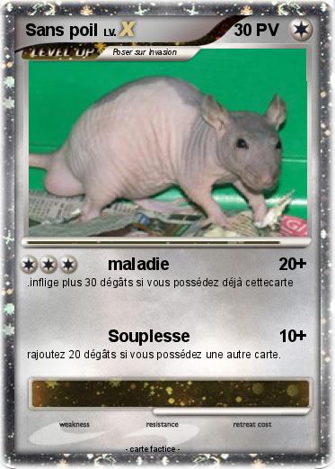 Pokemon Sans poil