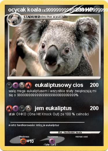 Pokemon ocycak koala