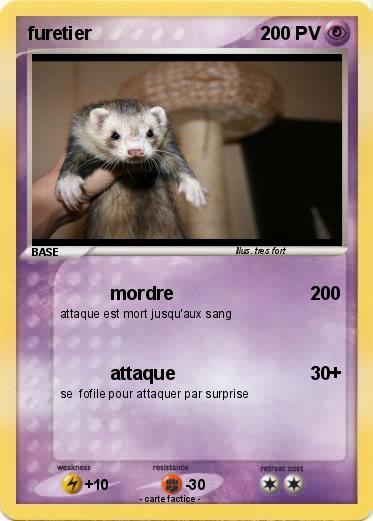 Pokemon furetier