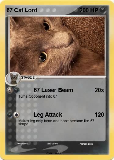 Pokemon 67 Cat Lord