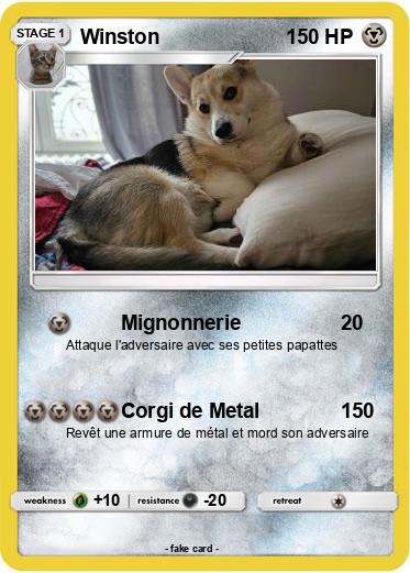 Pokemon Winston