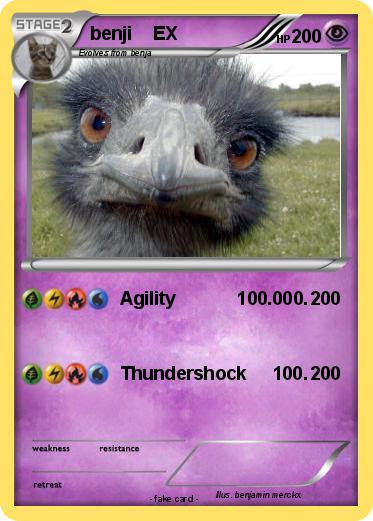 Pokemon benji    EX