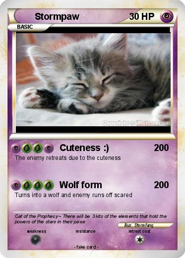 Pokemon Stormpaw