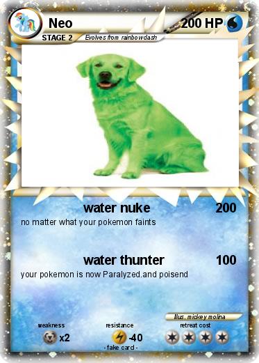 Pokemon Neo