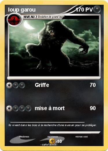 Pokemon loup garou