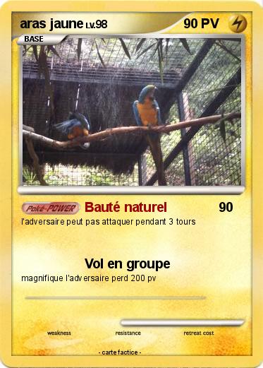 Pokemon aras jaune