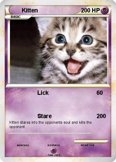 Pokemon Kitten