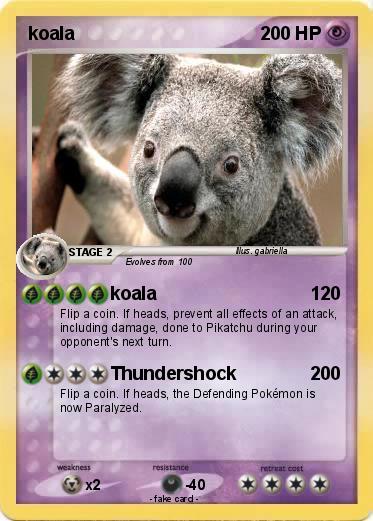 Pokemon koala