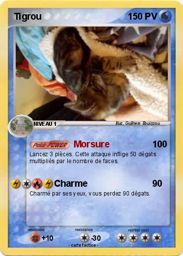 Pokemon Tigrou
